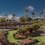 https://golftravelpeople.agiledigitalsolutions.co.uk/wp-content/uploads/2020/11/Sheraton-Fuerteventura-Golf-Spa-Resort-Swimming-Pools-Leisure-Facilities-3-150x150.jpg