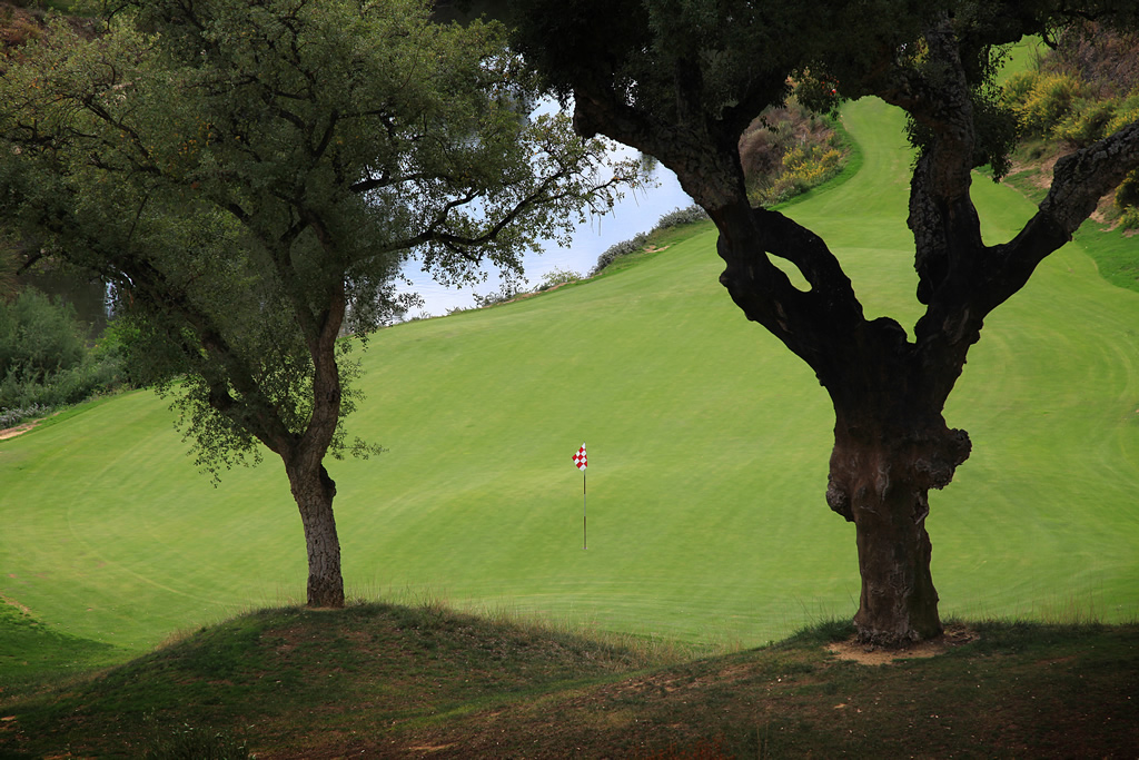https://golftravelpeople.agiledigitalsolutions.co.uk/wp-content/uploads/2022/12/La-Zagaleta-Golf-Club-New-Course-Malaga-Spain-7.jpg