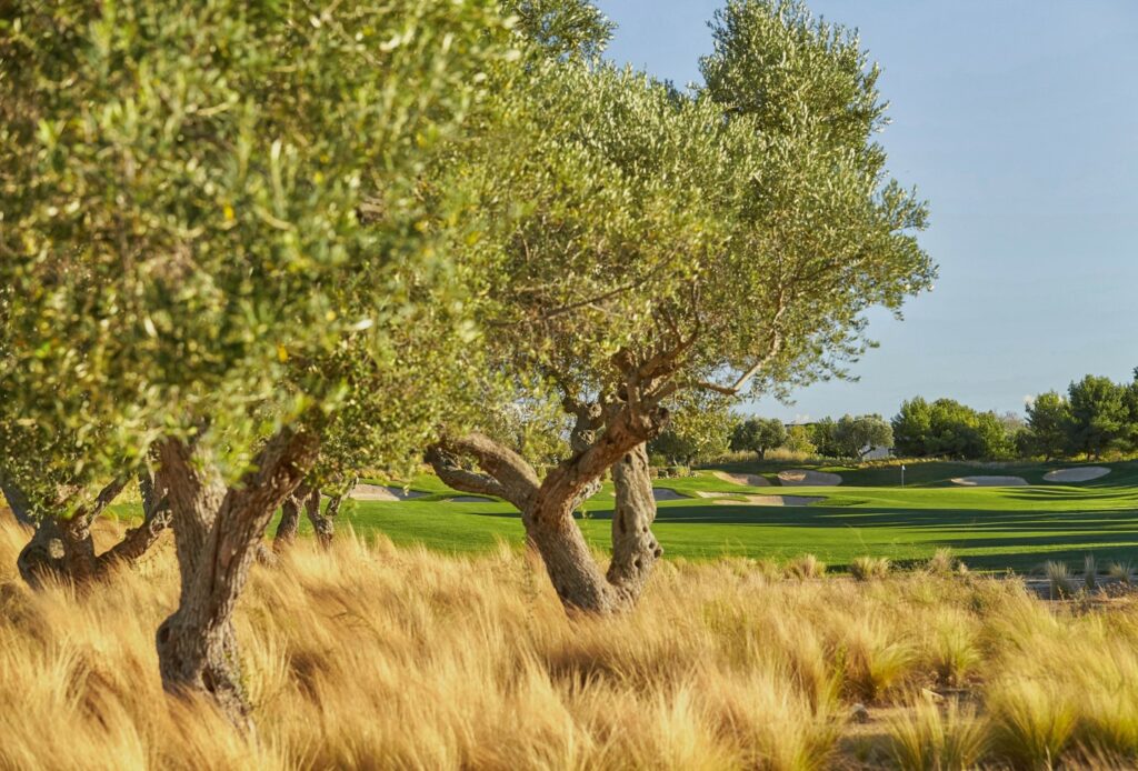 https://golftravelpeople.agiledigitalsolutions.co.uk/wp-content/uploads/2023/07/Infinitum-Lakes-Golf-Course-Costa-Daurada-5-1024x694.jpg