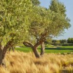 https://golftravelpeople.agiledigitalsolutions.co.uk/wp-content/uploads/2023/07/Infinitum-Lakes-Golf-Course-Costa-Daurada-5-150x150.jpg